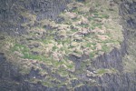 island 07 01