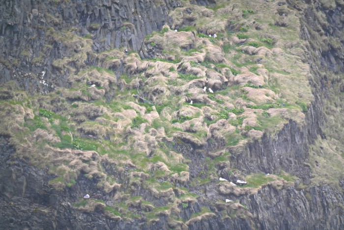 island 07 01
