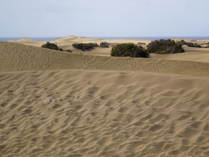 duenen maspalomas