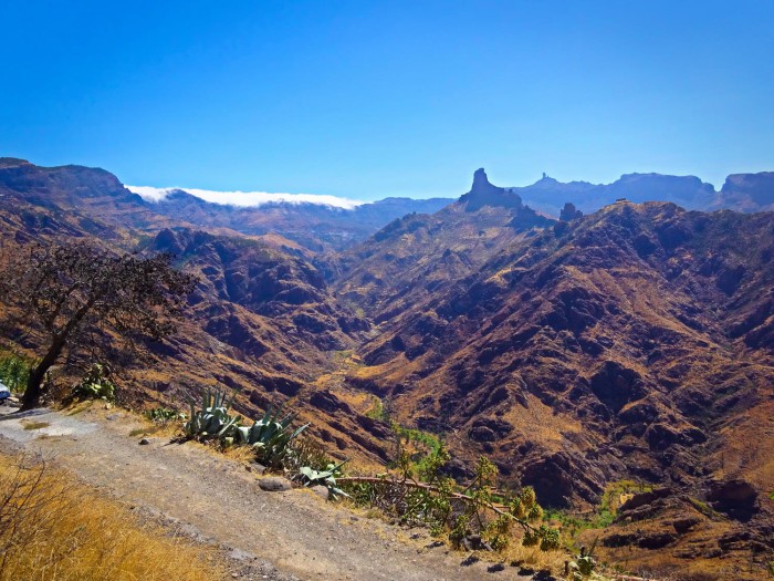 gran canaria 11 acusa seca