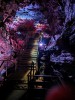 island 03 03