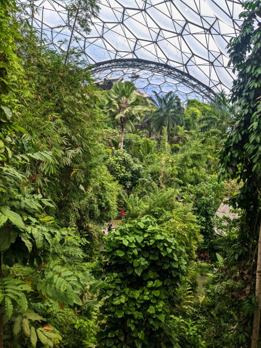 england07 eden project