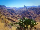 gran canaria 11 acusa seca