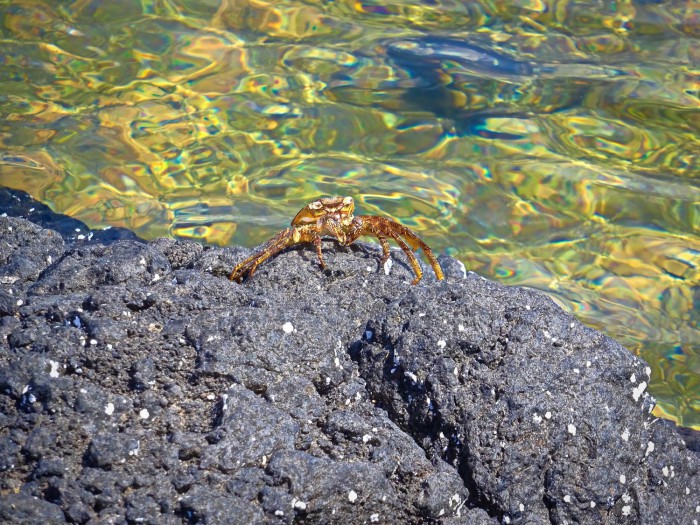 gran canaria 07 01