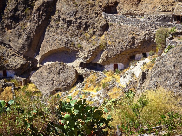 gran canaria 11 acusa seca