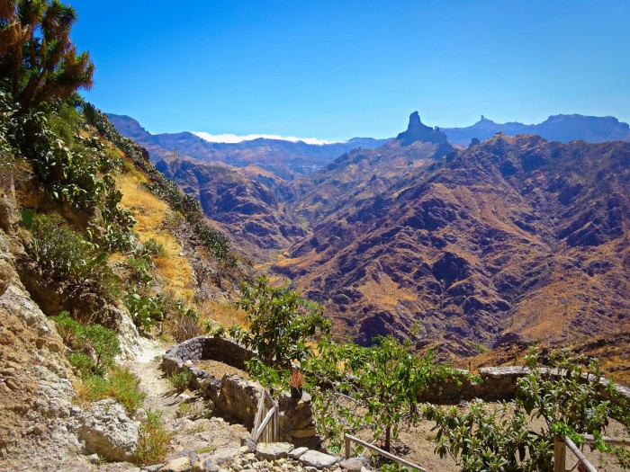 gran canaria acusa seca