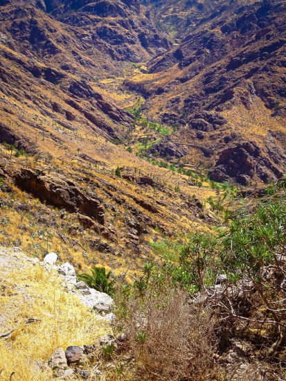 gran canaria 11 acusa seca