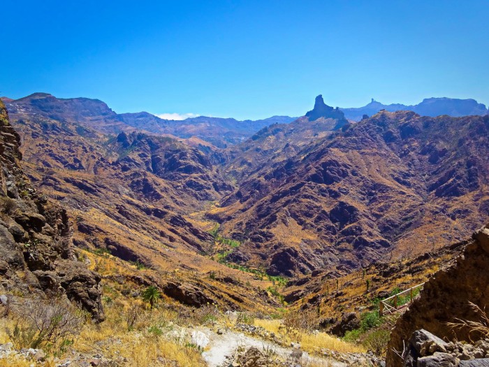 gran canaria 11 acusa seca