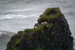 island 06 08