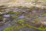island 07 10
