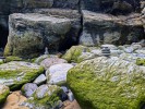 england05 tintagel