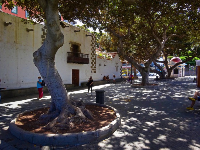 gran canaria 07 triana