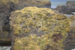 island 10 24
