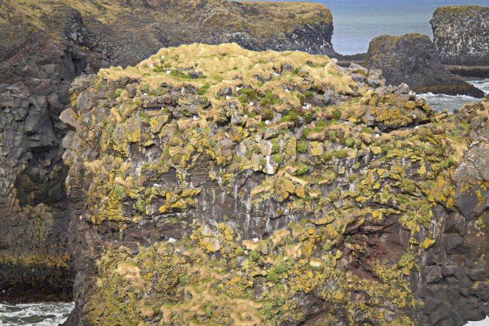 island 10 24